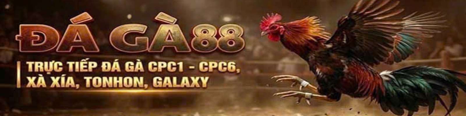 User Cover